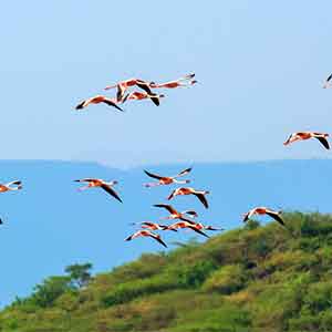 Lake_Manyara_National_Park